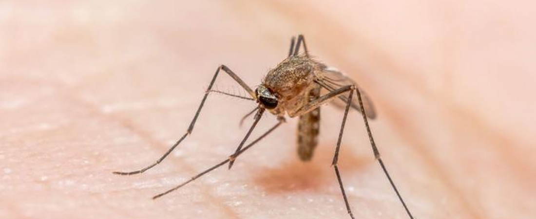 Tren Menurun, Selangkah Lebih Dekat Menuju...